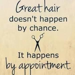 Meet your Posher, Elisa